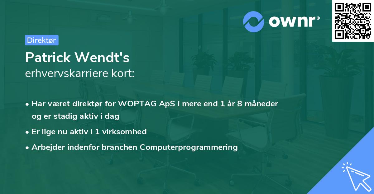 Patrick Wendt's erhvervskarriere kort