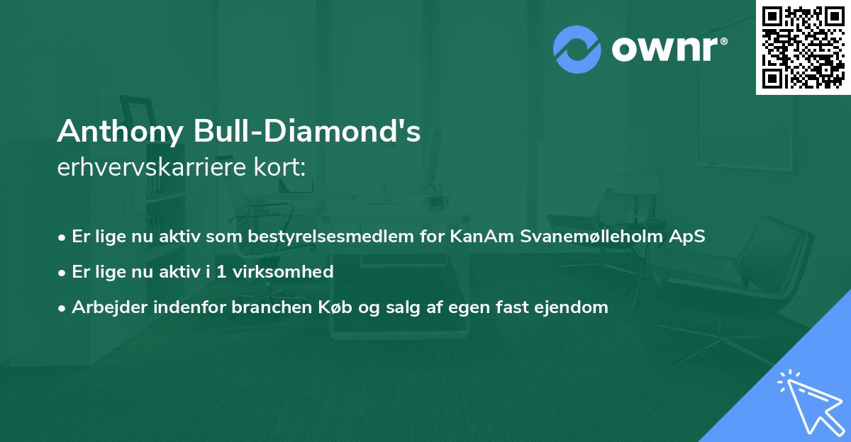 Anthony Bull-Diamond's erhvervskarriere kort