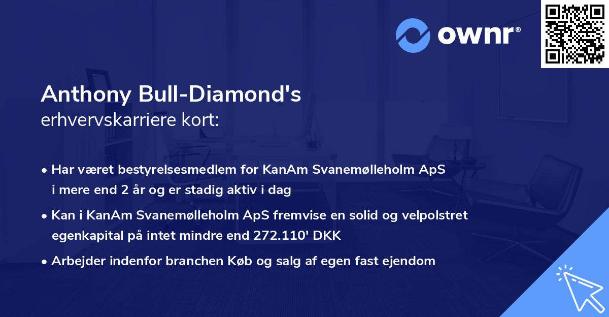Anthony Bull-Diamond's erhvervskarriere kort