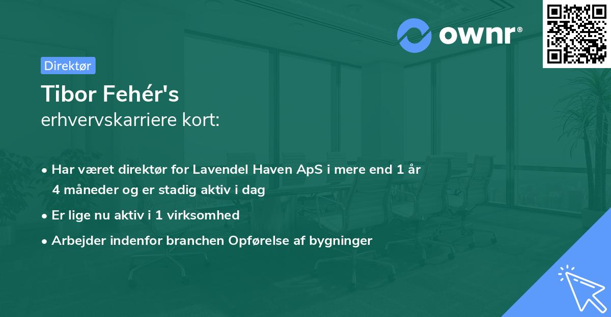 Tibor Fehér's erhvervskarriere kort