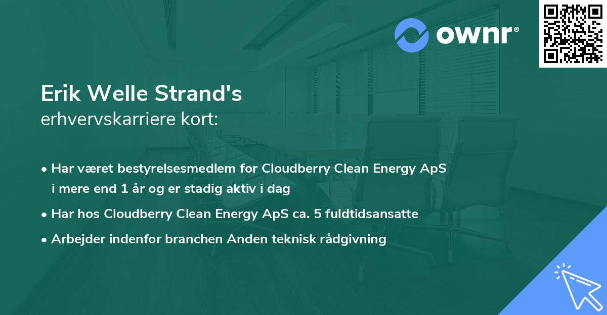 Erik Welle Strand's erhvervskarriere kort