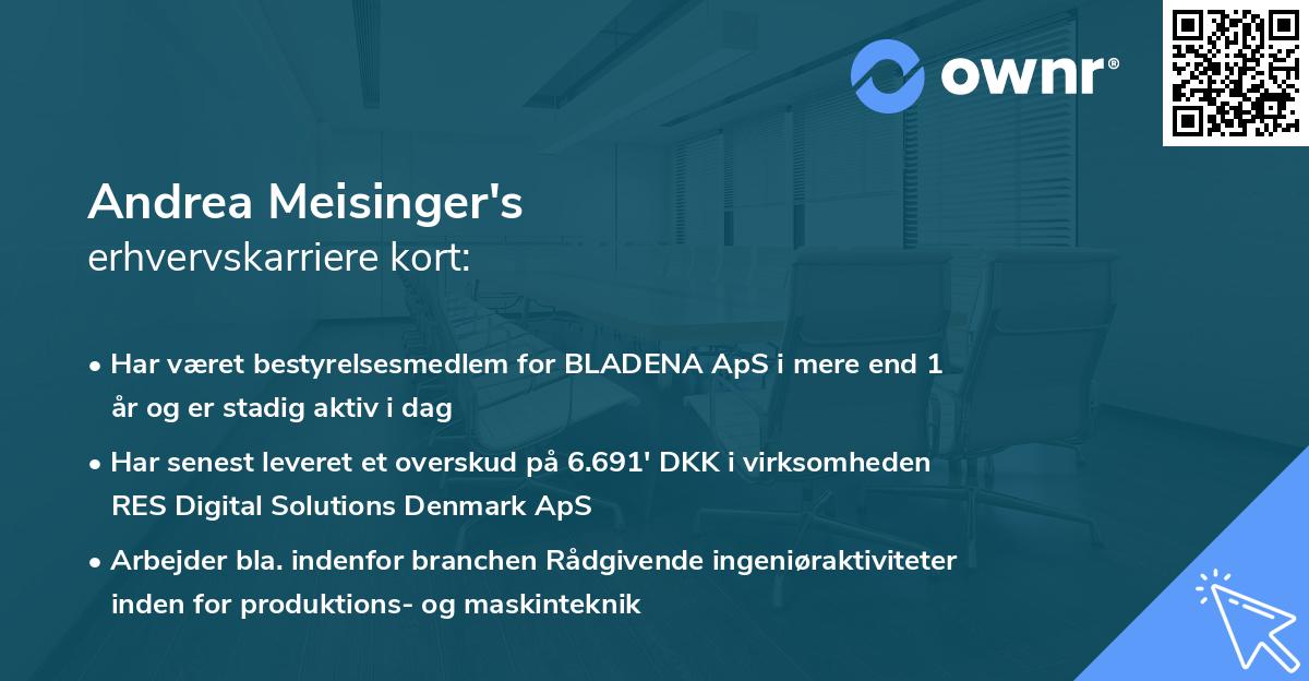 Andrea Meisinger's erhvervskarriere kort