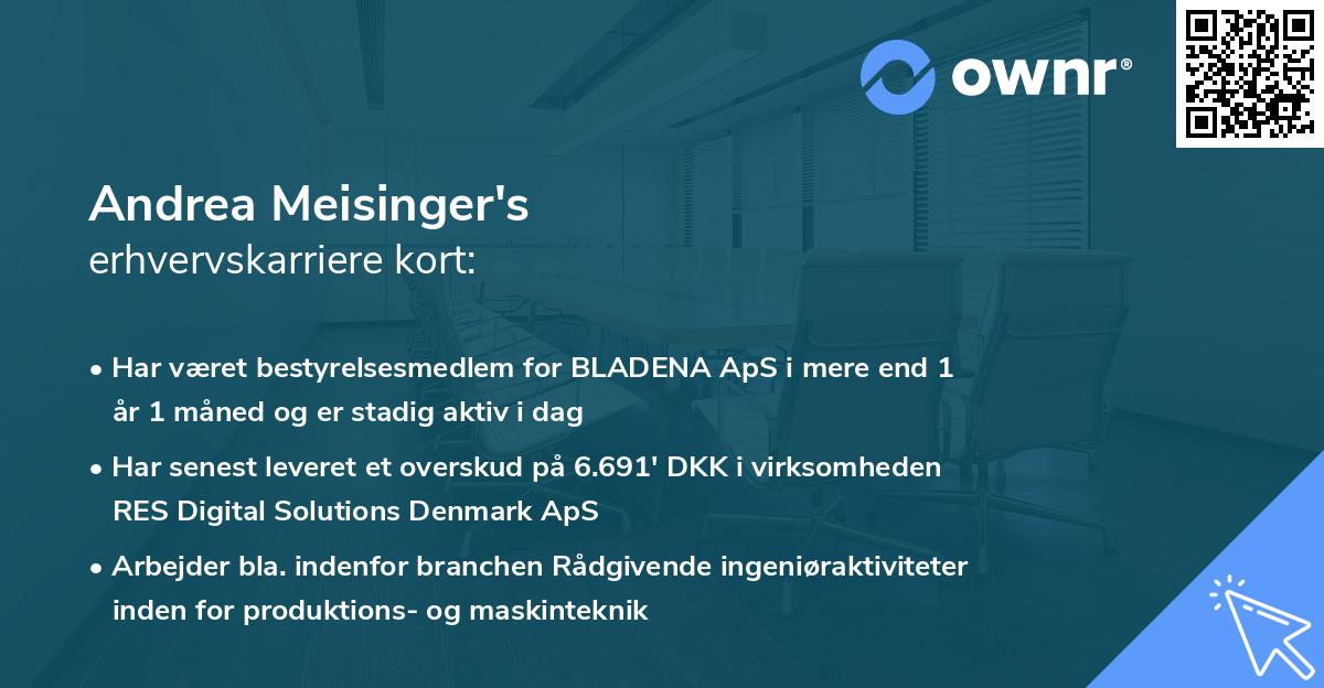 Andrea Meisinger's erhvervskarriere kort