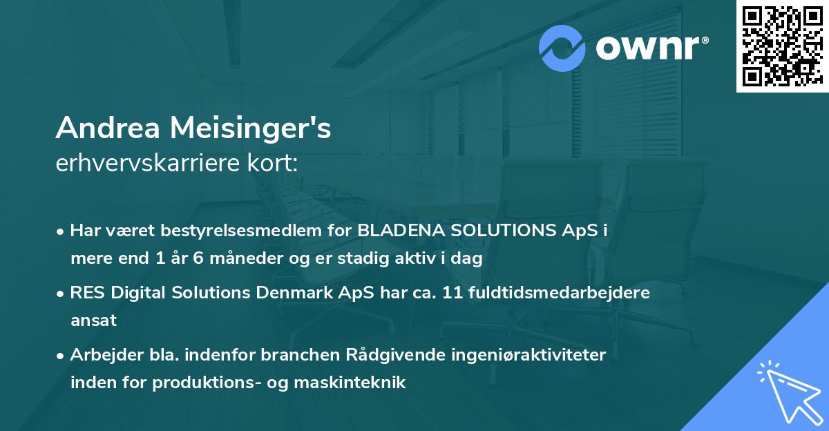 Andrea Meisinger's erhvervskarriere kort