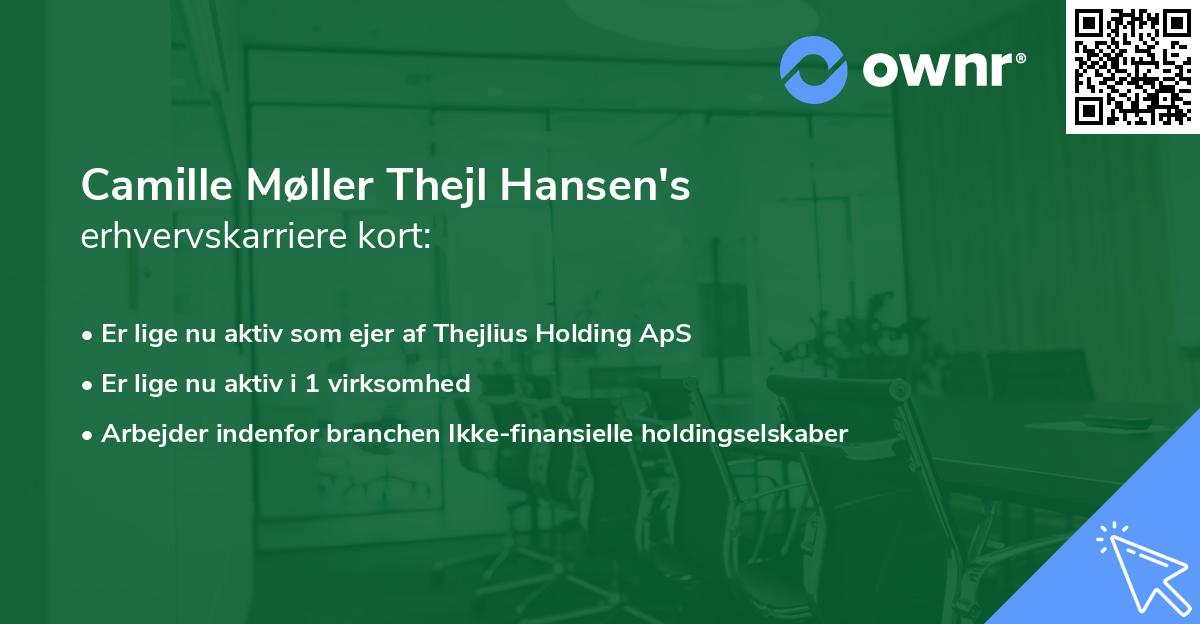 Camille Møller Thejl Hansen's erhvervskarriere kort