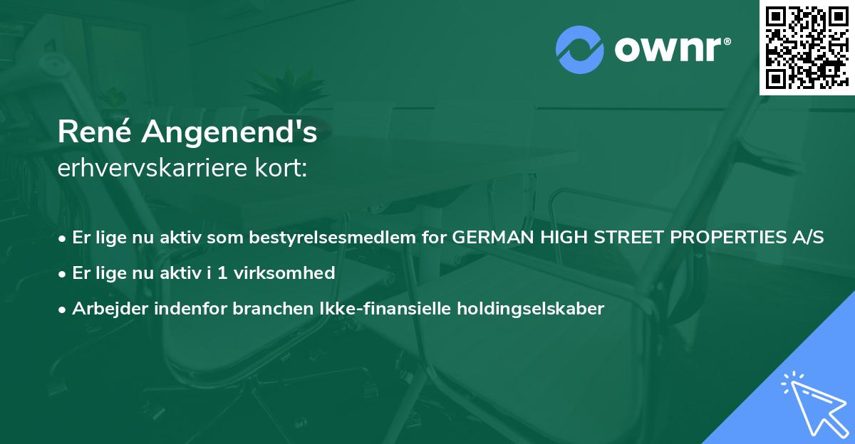 René Angenend's erhvervskarriere kort