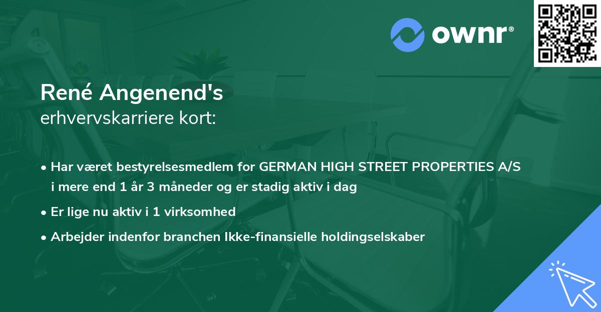René Angenend's erhvervskarriere kort