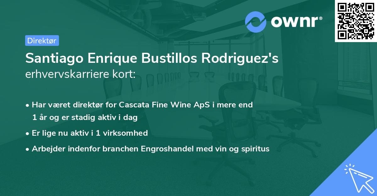 Santiago Enrique Bustillos Rodriguez's erhvervskarriere kort