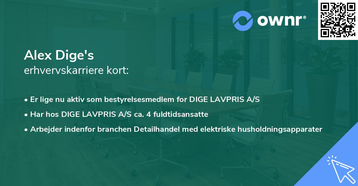 Alex Dige's erhvervskarriere kort