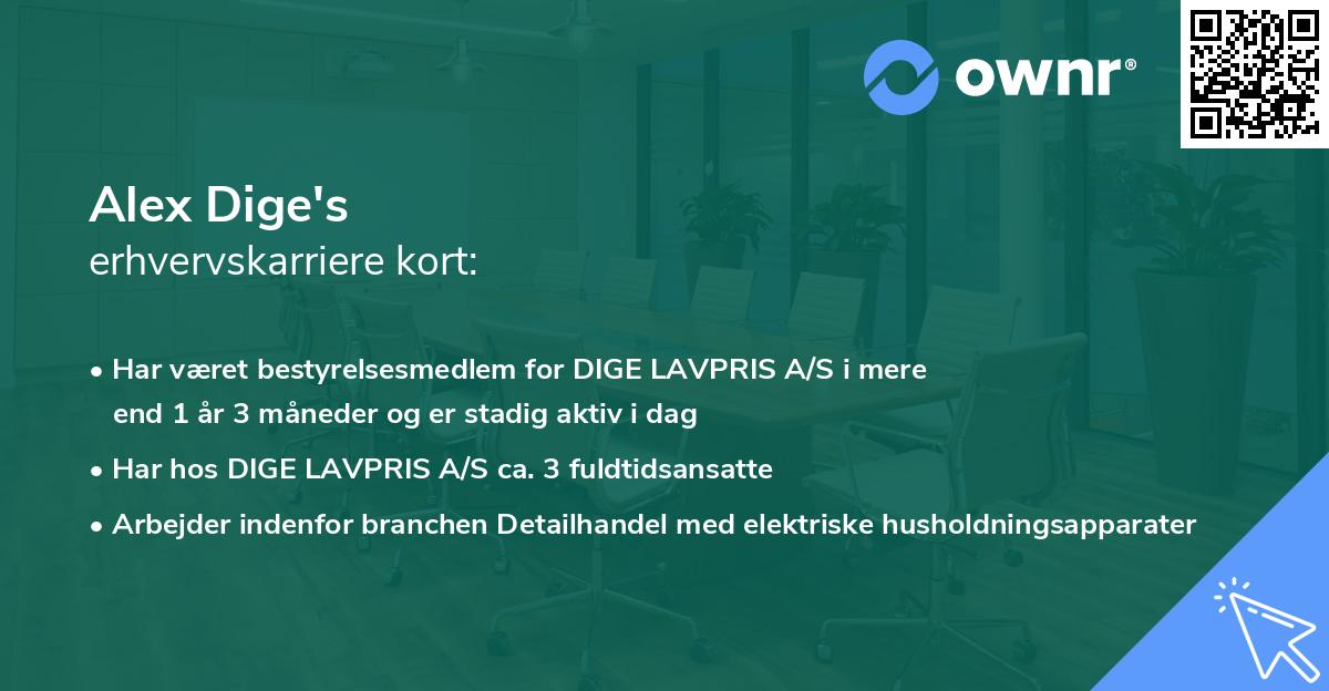 Alex Dige's erhvervskarriere kort