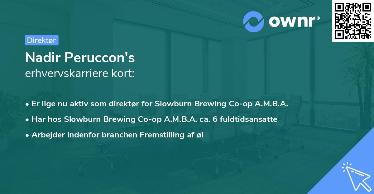 Nadir Peruccon's erhvervskarriere kort