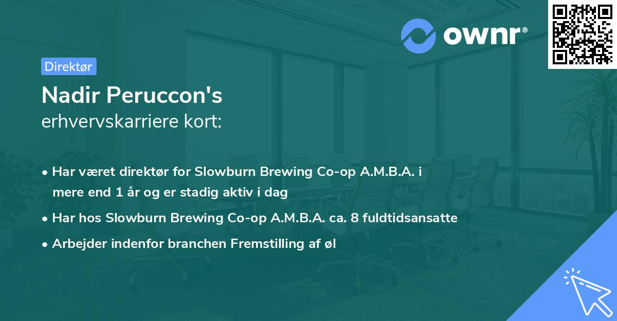 Nadir Peruccon's erhvervskarriere kort