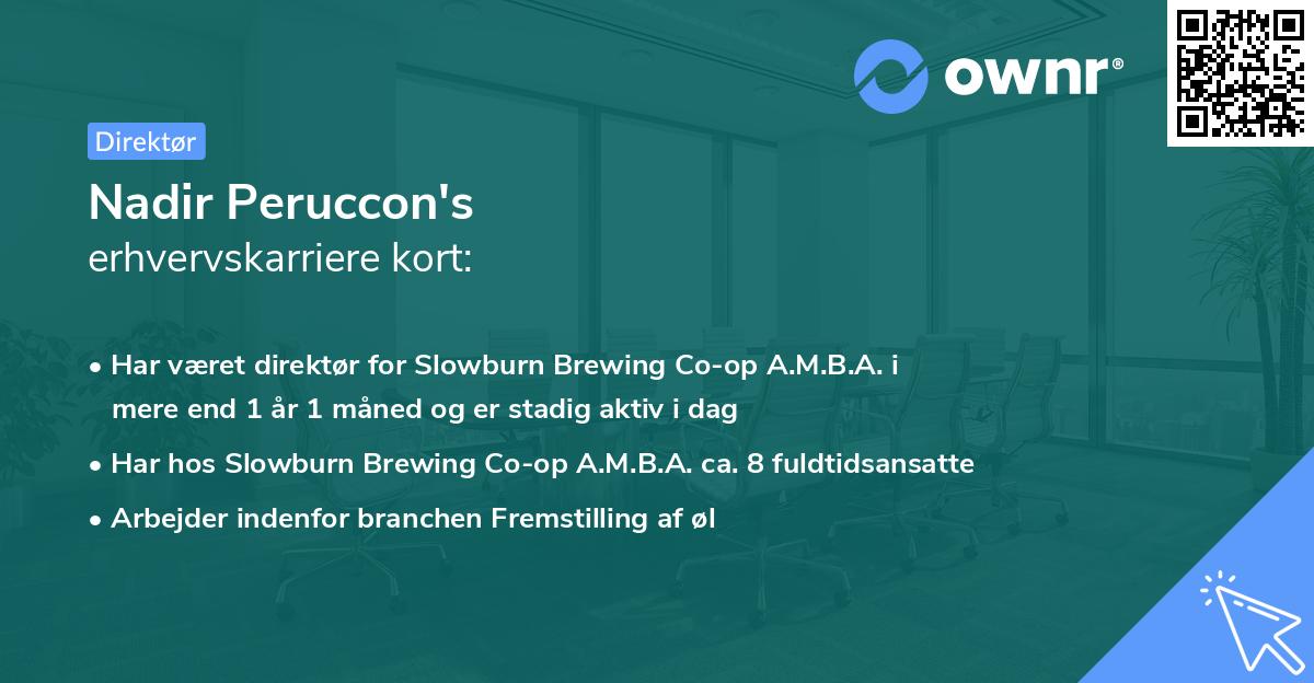 Nadir Peruccon's erhvervskarriere kort