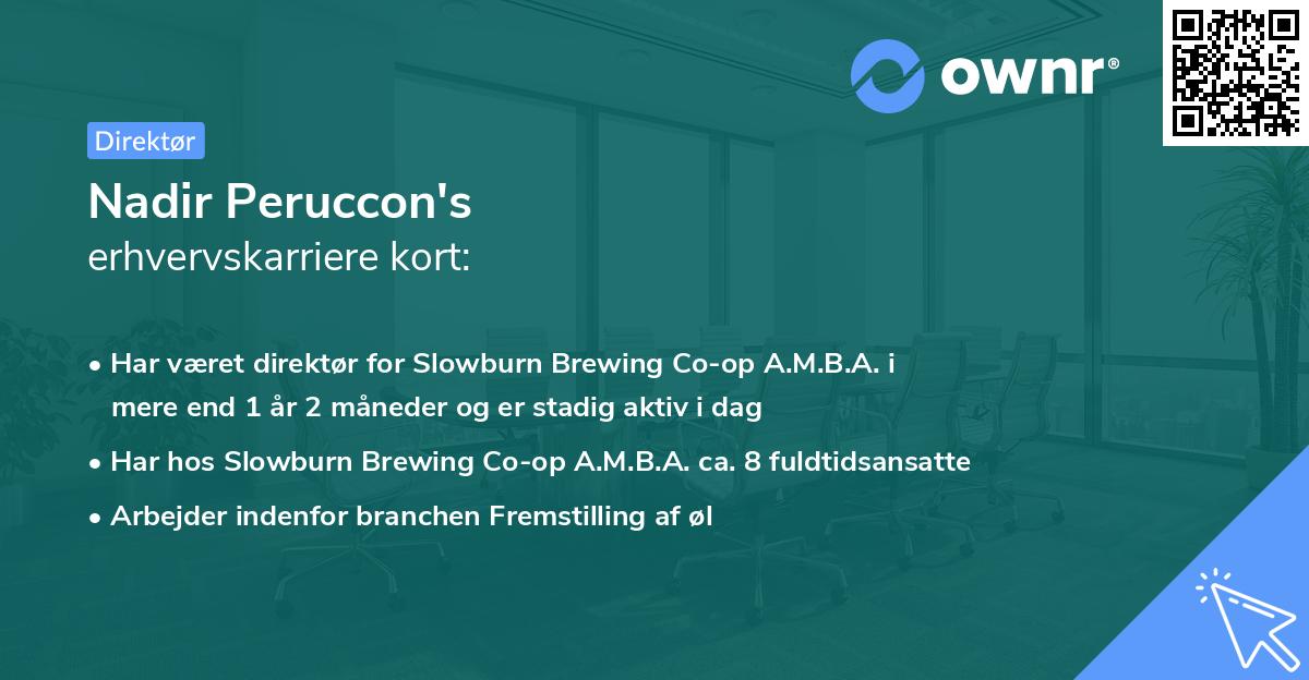 Nadir Peruccon's erhvervskarriere kort