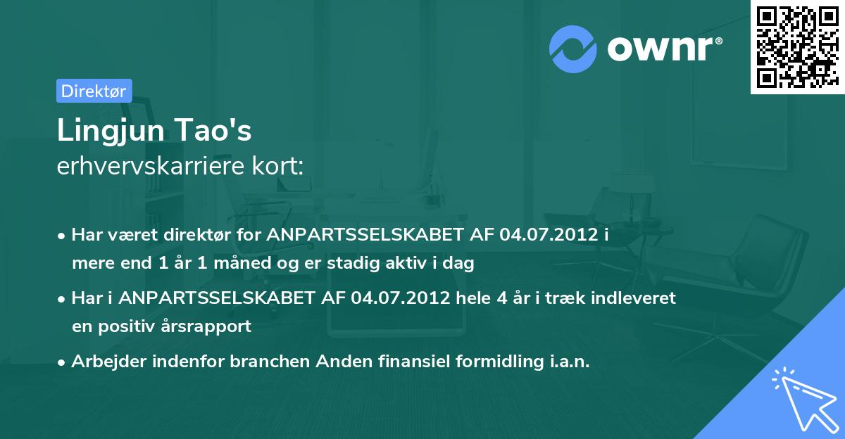 Lingjun Tao's erhvervskarriere kort