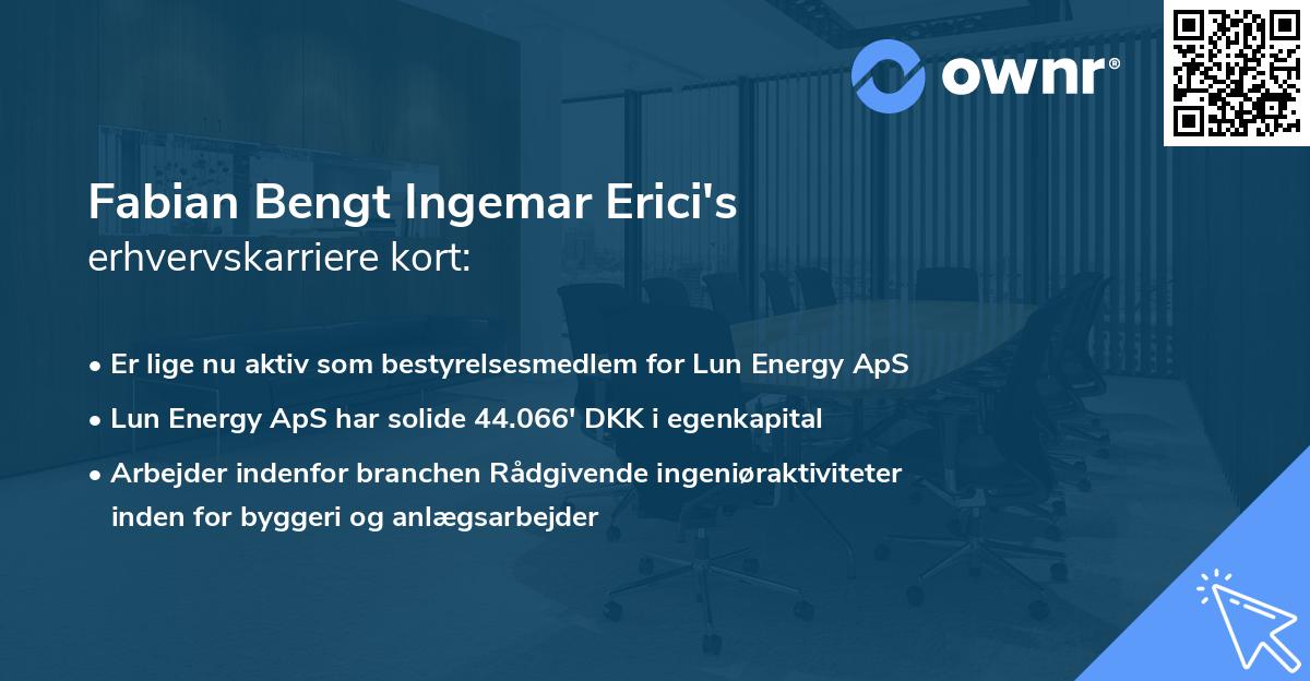 Fabian Bengt Ingemar Erici's erhvervskarriere kort