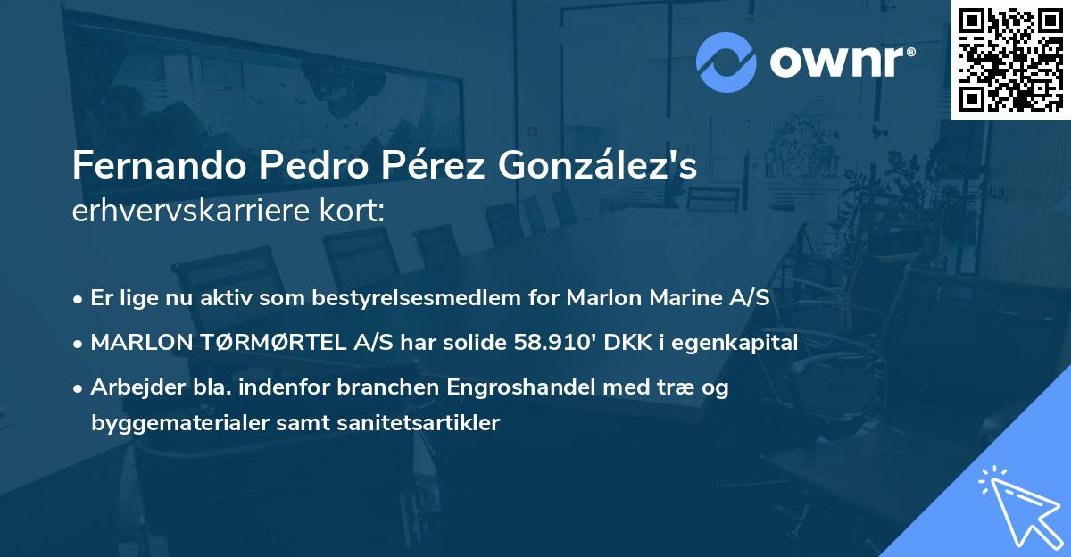 Fernando Pedro Pérez González's erhvervskarriere kort