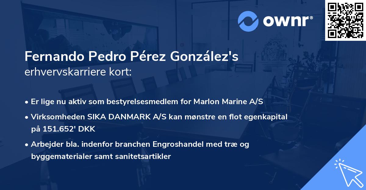 Fernando Pedro Pérez González's erhvervskarriere kort