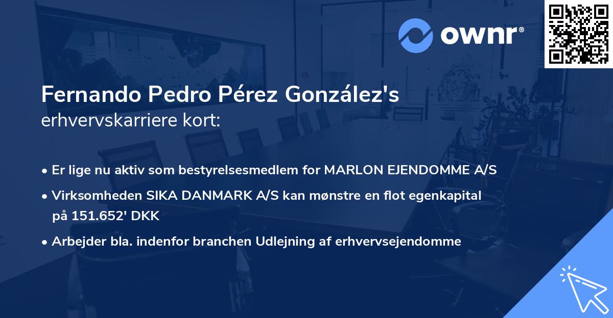 Fernando Pedro Pérez González's erhvervskarriere kort