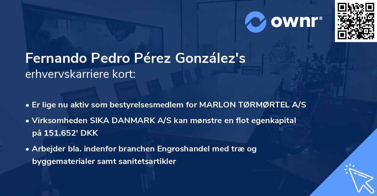 Fernando Pedro Pérez González's erhvervskarriere kort
