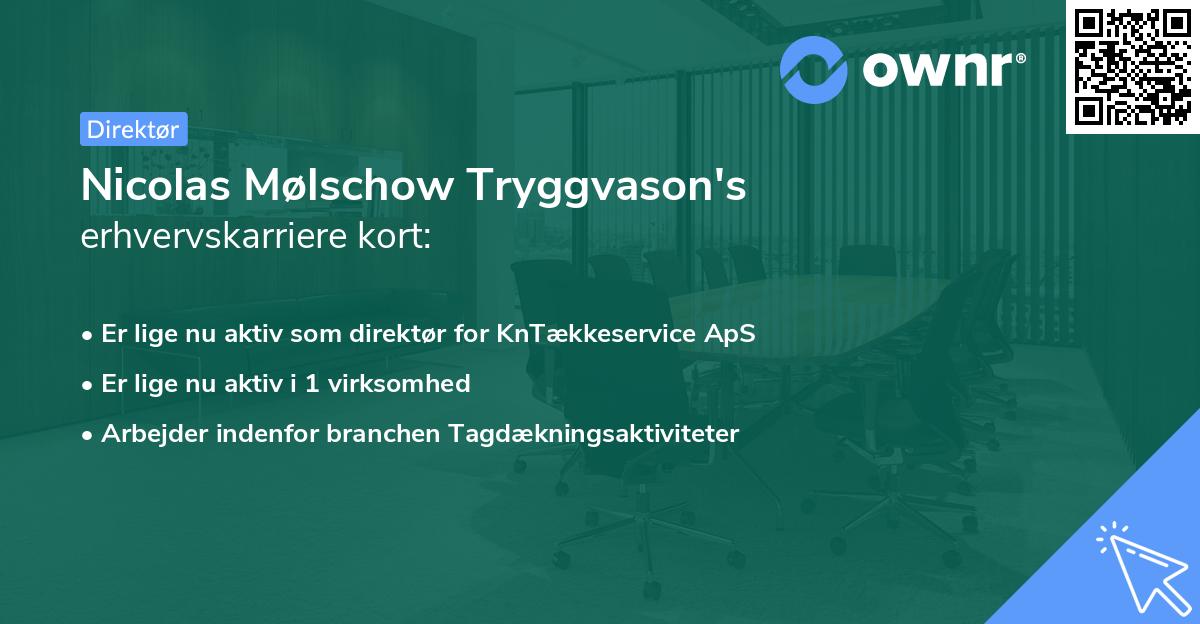 Nicolas Mølschow Tryggvason's erhvervskarriere kort