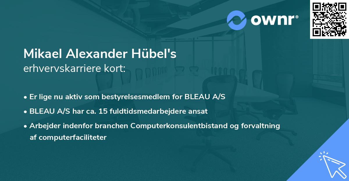 Mikael Alexander Hübel's erhvervskarriere kort