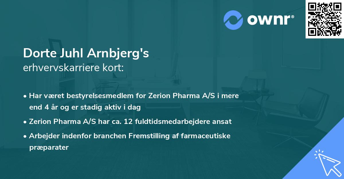 Dorte Juhl Arnbjerg's erhvervskarriere kort