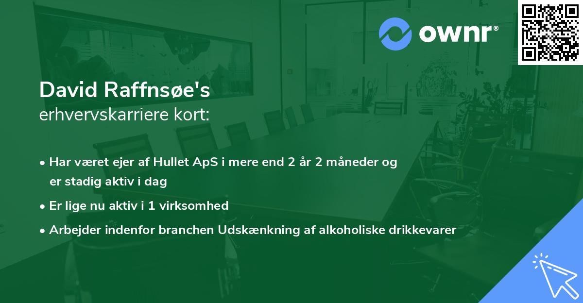 David Raffnsøe's erhvervskarriere kort