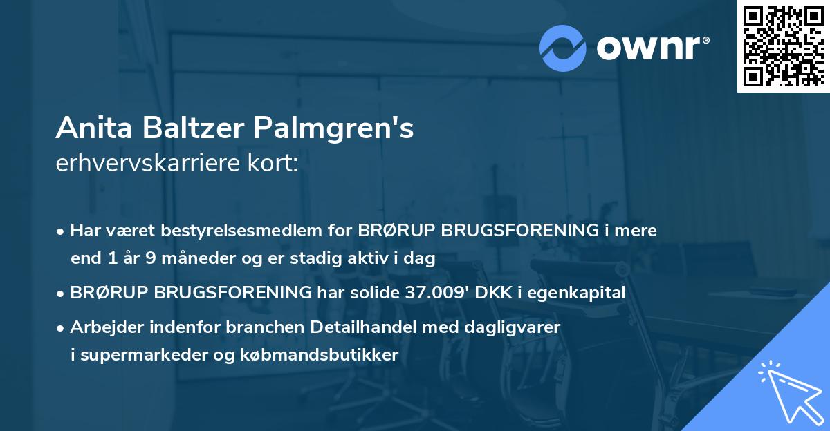 Anita Baltzer Palmgren's erhvervskarriere kort