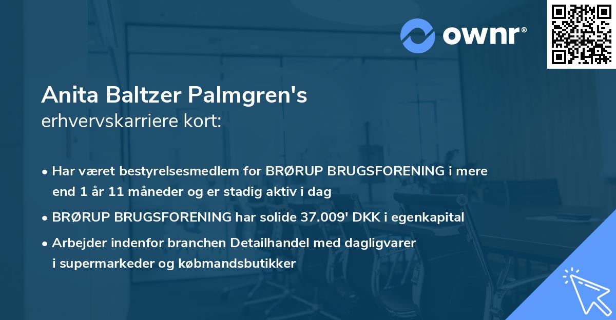 Anita Baltzer Palmgren's erhvervskarriere kort