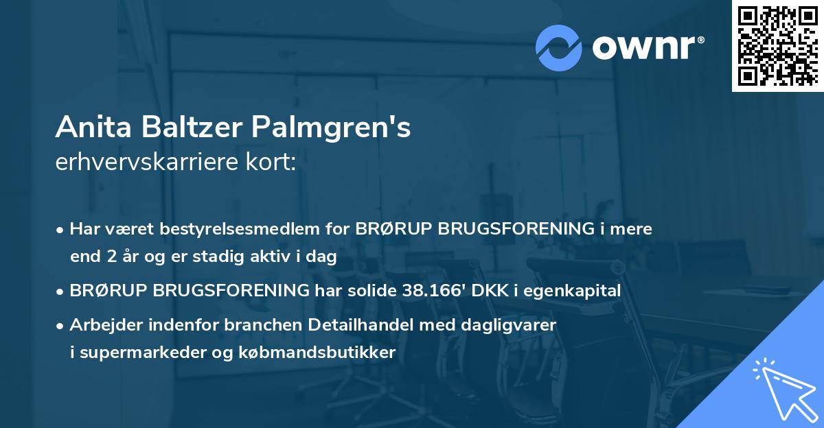 Anita Baltzer Palmgren's erhvervskarriere kort