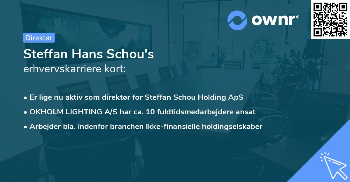 Steffan Hans Schou's erhvervskarriere kort