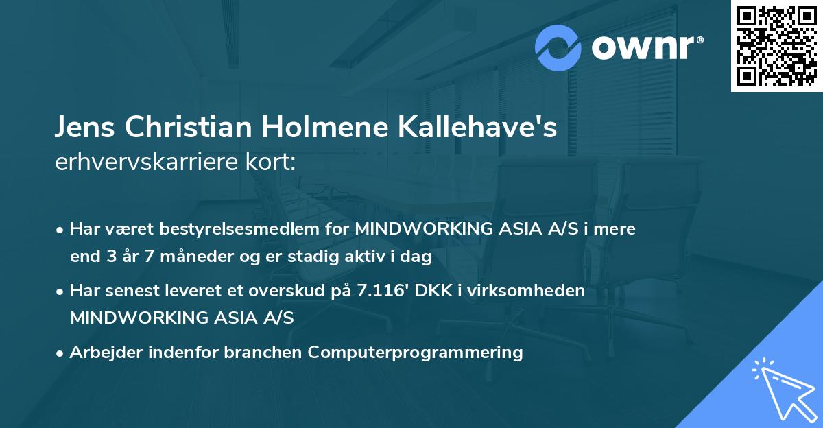 Jens Christian Holmene Kallehave's erhvervskarriere kort