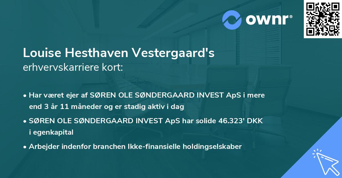 Louise Hesthaven Vestergaard's erhvervskarriere kort