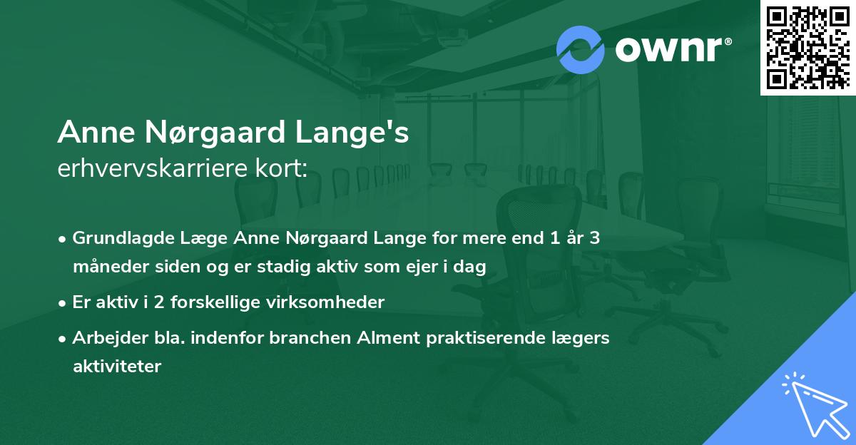 Anne Nørgaard Lange's erhvervskarriere kort
