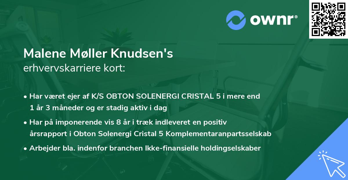 Malene Møller Knudsen's erhvervskarriere kort