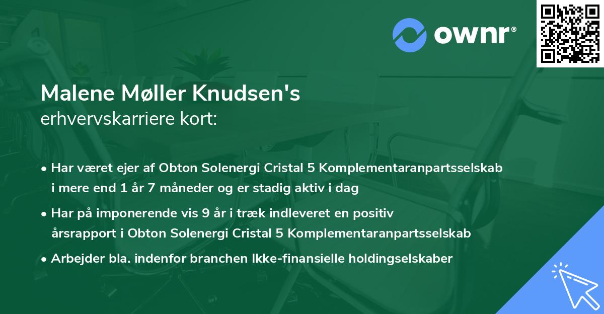 Malene Møller Knudsen's erhvervskarriere kort