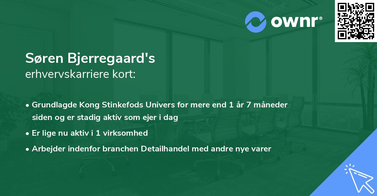 Søren Bjerregaard's erhvervskarriere kort