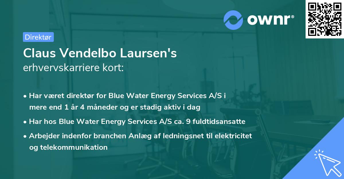 Claus Vendelbo Laursen's erhvervskarriere kort