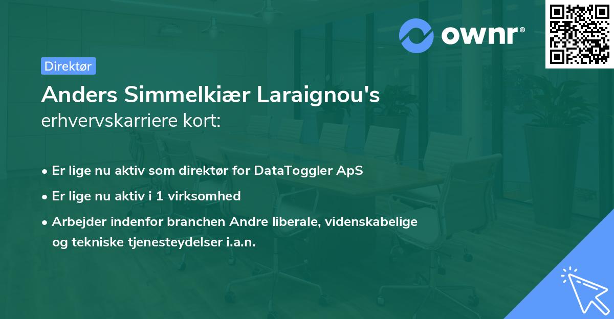 Anders Simmelkiær Laraignou's erhvervskarriere kort