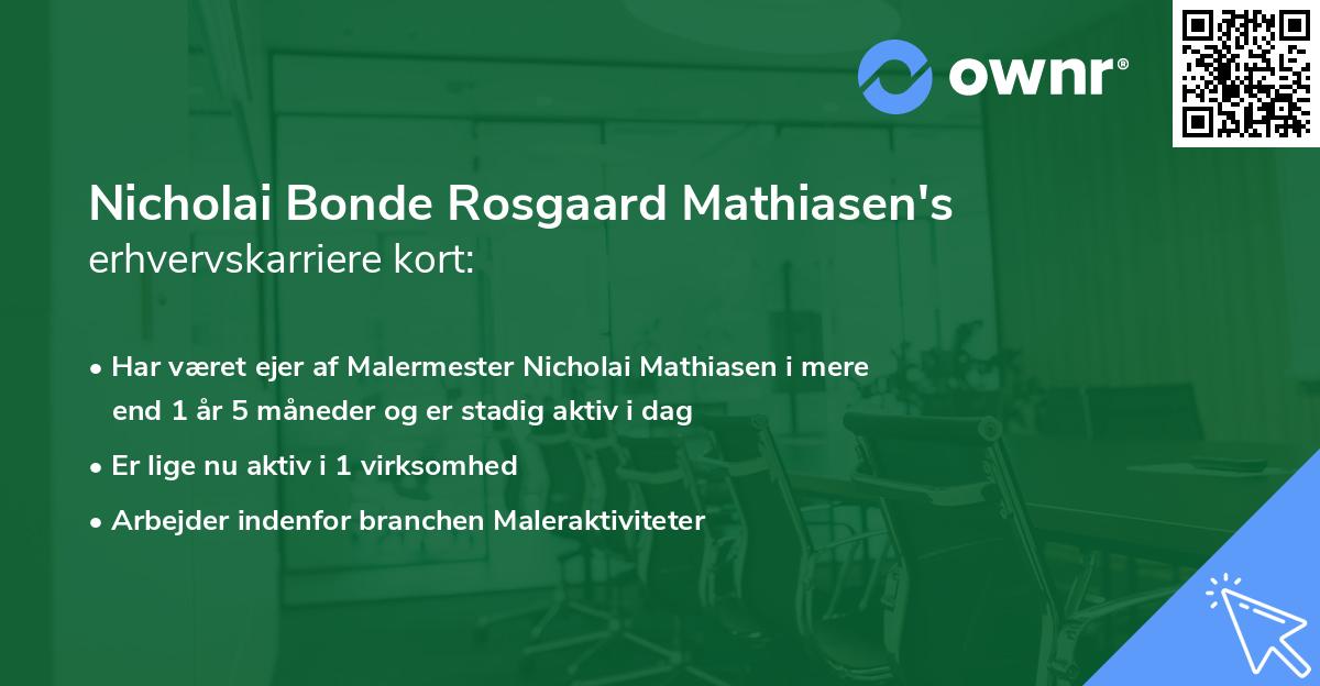 Nicholai Bonde Rosgaard Mathiasen's erhvervskarriere kort