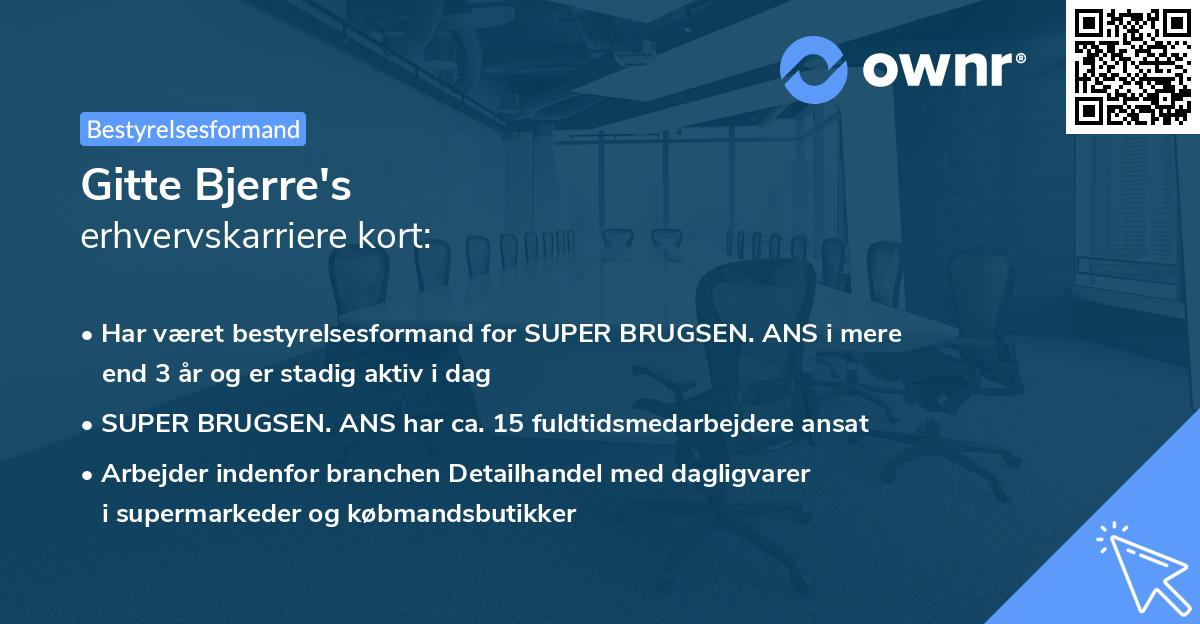 Gitte Bjerre's erhvervskarriere kort