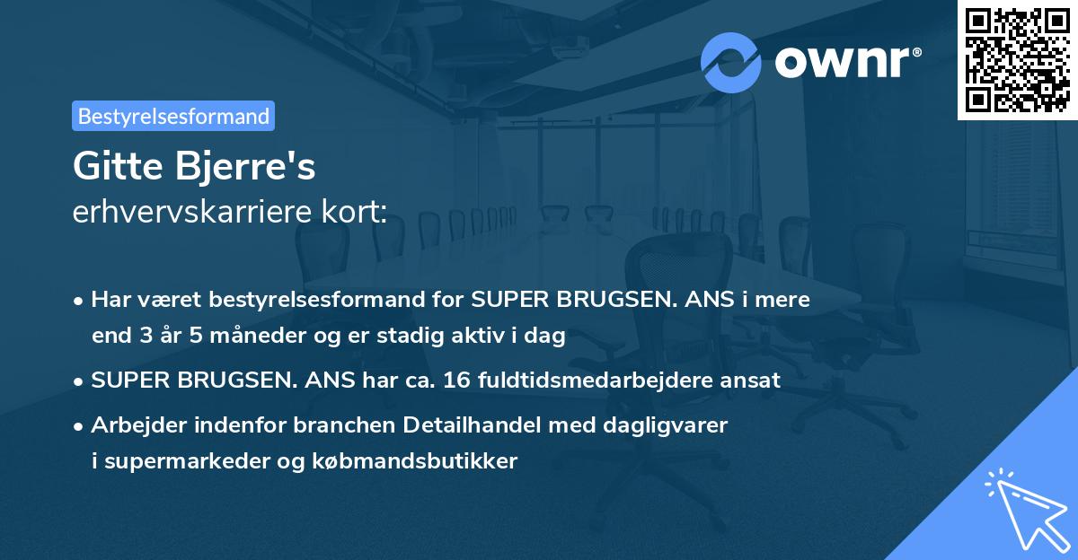 Gitte Bjerre's erhvervskarriere kort