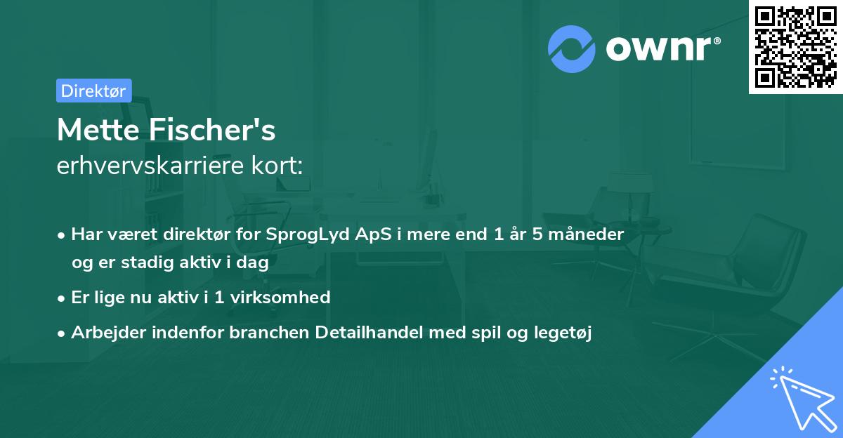 Mette Fischer's erhvervskarriere kort