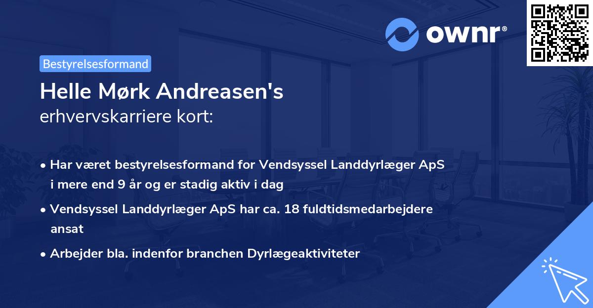 Helle Mørk Andreasen's erhvervskarriere kort