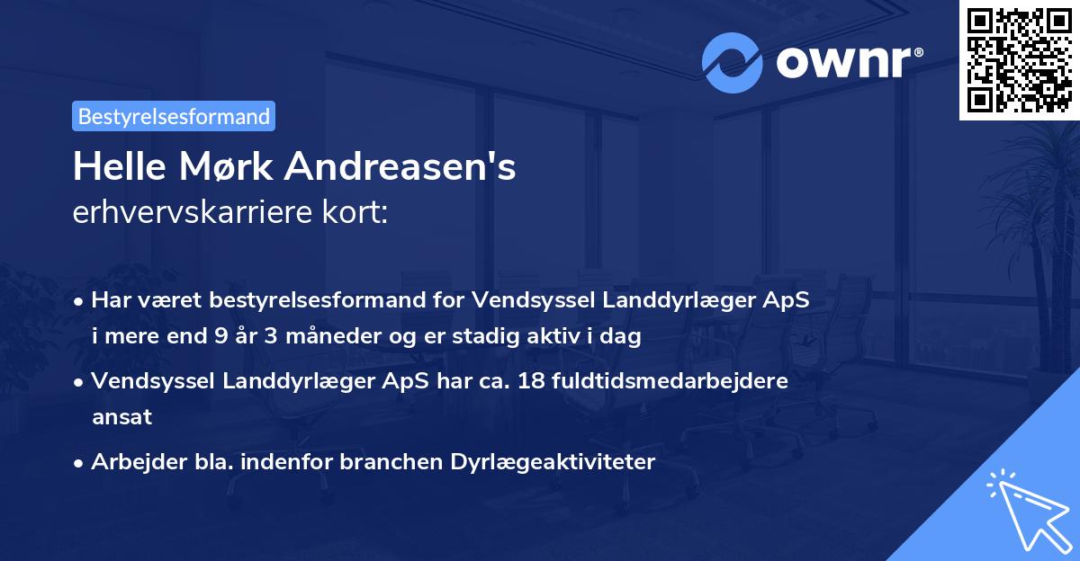 Helle Mørk Andreasen's erhvervskarriere kort