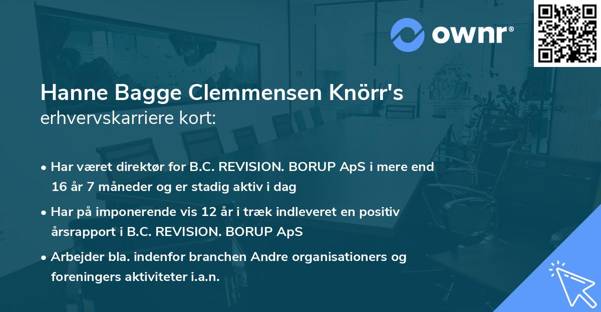 Hanne Bagge Clemmensen Knörr's erhvervskarriere kort