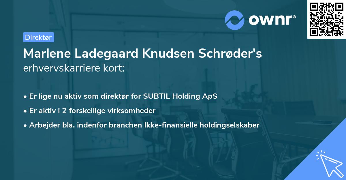 Marlene Ladegaard Knudsen Schrøder's erhvervskarriere kort