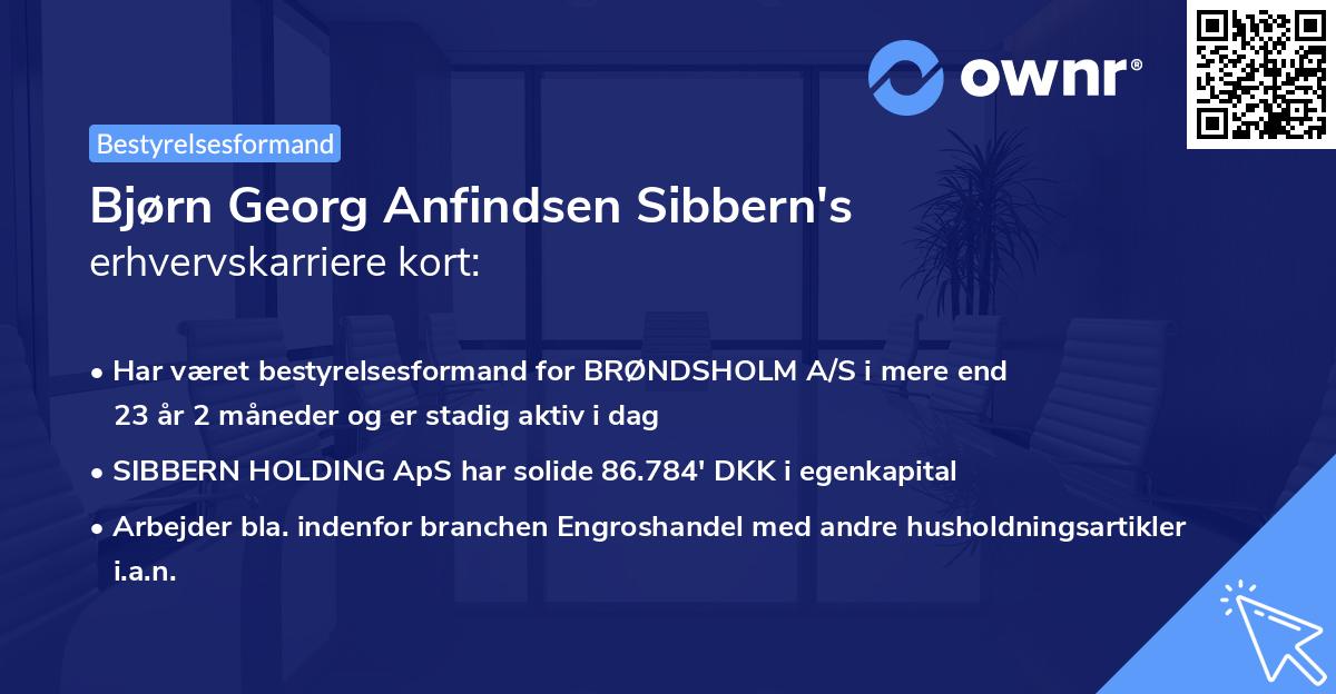 Bjørn Georg Anfindsen Sibbern's erhvervskarriere kort