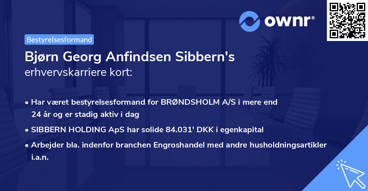 Bjørn Georg Anfindsen Sibbern's erhvervskarriere kort